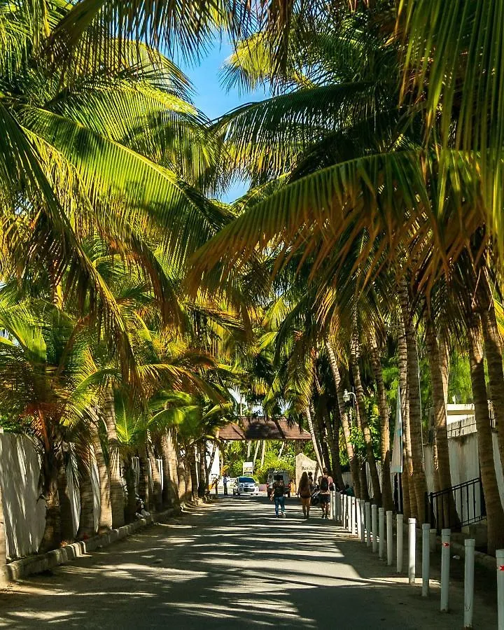 Charming 2Bdr Pool View Walking To Bavaro Beach بونتا كانا جمهورية الدومينيكان